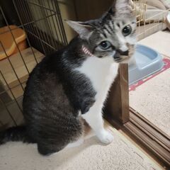 4歳の兄妹達です。