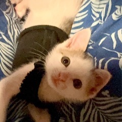 🍒【とっくんと一緒に終の住処決まりました🙇‍♀️】【つっくん】　...
