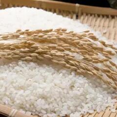 広島県産！　　精米済み　玄米渡し可　お米5kg ヒノヒカリ　　米...