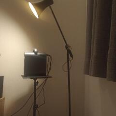 LOWYA フロアライトの画像