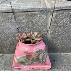 リメイク缶(植木鉢等)