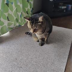 カラオケ行きましょう