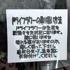 お買い得❣️ドライフラワーの画像