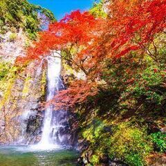 英語↔日本語で箕面大滝へ紅葉ハイキング!!