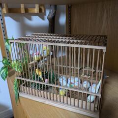 可愛い鳥かご〜🦜雑貨♪の画像