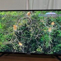 Hisense 43型テレビ