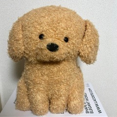 トイプーのモコフィー　モカフィー　新品