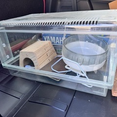 ハリネズミ　ハムスター　小屋