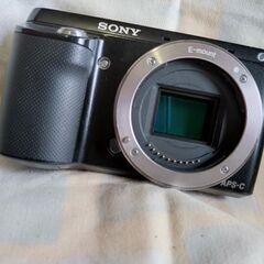 SONY NEX-F3　英語モデル