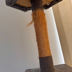 キャットタワーの画像