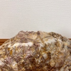 鑑賞石　床の間飾の画像
