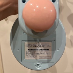 お値引きしました!!　ディズニー　メリー　ココネル対応の画像