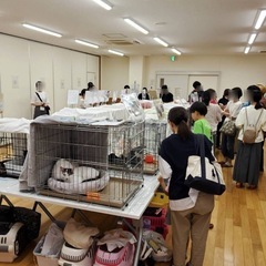 10/20(日)保護猫の里親会(譲渡会)in津市 - その他