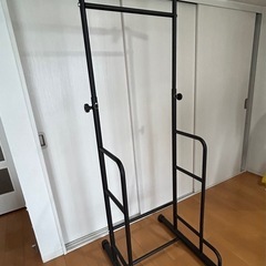 懸垂　ぶら下がり　健康器具の画像