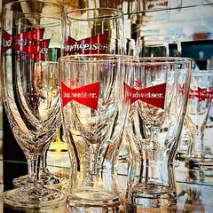 バドワイザーグラス各種の画像