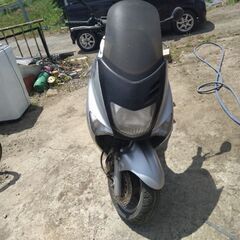 マジェスティ125の画像