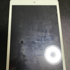 iPad mini2