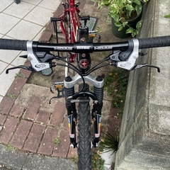 ビンテージMTB SCHWIN MOABの画像