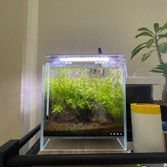 アクアリウムセット