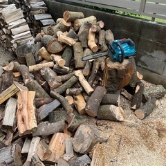 広葉樹ミックス　キャンプの画像