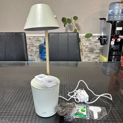 ブルーノ　水耕栽培