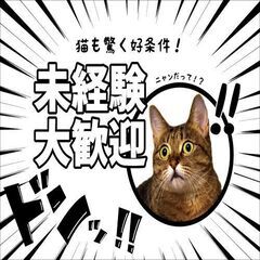 1年の半分以上がお休み！月収25万円以上可能！半導体製造のお仕事です！の画像