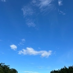 ママのための節約コミュニティ作ります💗