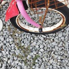 子ども用自転車 中古品　パンクありの画像