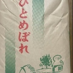 減農薬栽培　ひとめぼれ　20
kg 　令和6年　新米 