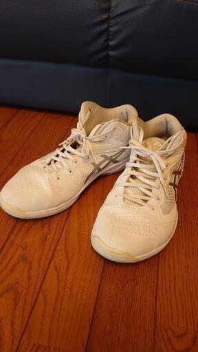 アシックス バスケットボールシューズ GELHOOP V12　ワイド　28