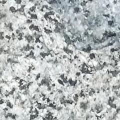 斑の庭石の画像