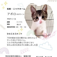 くりくりお目目のアポロくん − 長崎県