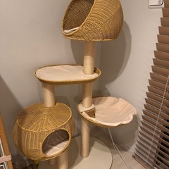 キャットタワーの画像