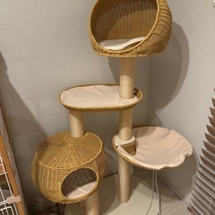 キャットタワーの画像