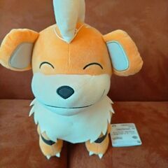 ポケモンぬいぐるみの画像