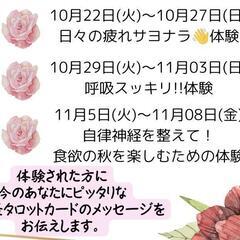 14周年特別企画☆後半❣️健康の手助け😊毎週テーマが変わる体験会情報🎉