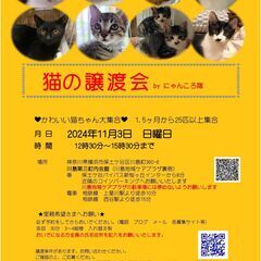 11月3日　猫の譲渡会　by にゃんころ隊