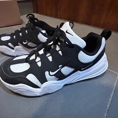 NIKEスニーカーテック　ヘラの画像