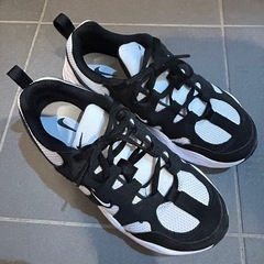 NIKEスニーカーテック　ヘラの画像