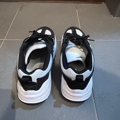 NIKEスニーカーテック　ヘラの画像