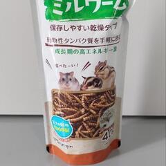 【受渡決定】ペットのおやつミルワームの画像