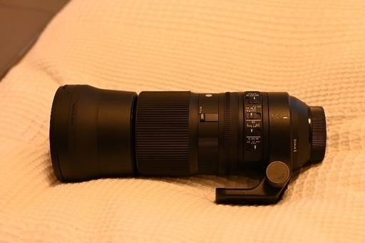 レンズ SIGMA 150-600mm Contemporary Nikon F