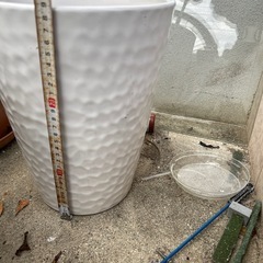 植木鉢　2つ　胡蝶蘭が入ってましたの画像