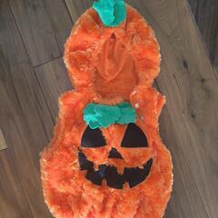 【当日渡し可】ハロウィン　仮装　衣装　カボチャ