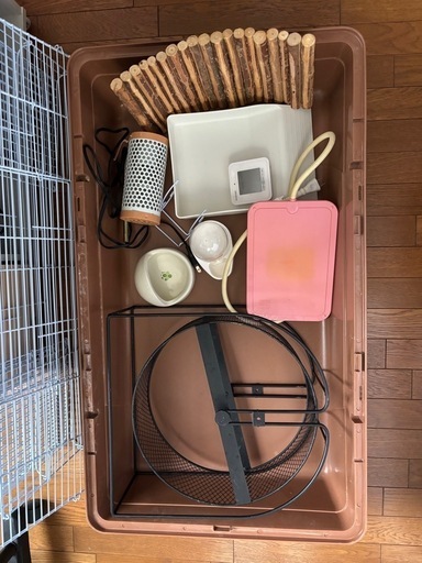 はりねずみ飼育セット