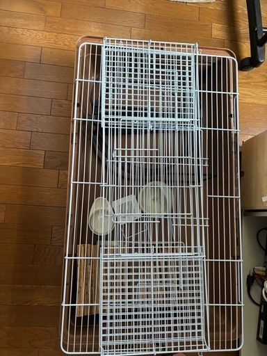 はりねずみ飼育セット

