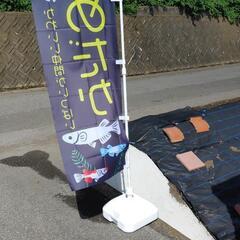 めだか🐟メダカ🐟めだか🐟