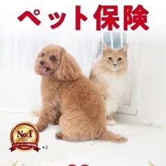 【無料】我が子のためのペット保険相談会