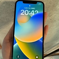 超美品⭐️Apple iPhone　12 Proゴールド256GB本体
