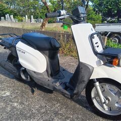 ヤマハギア50cc